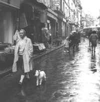 Tintin sighted in Paris